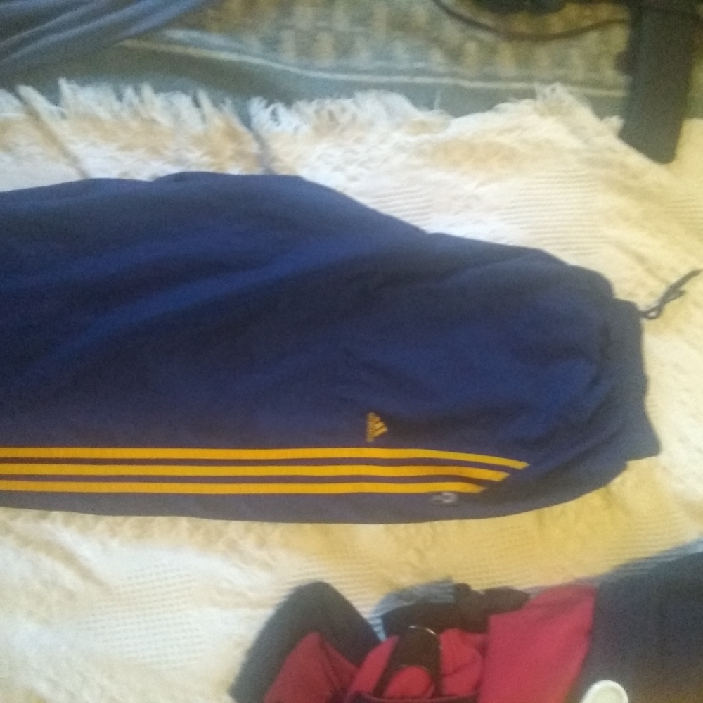 Adidas training pants